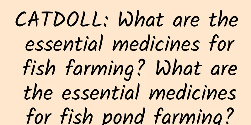 CATDOLL: What are the essential medicines for fish farming? What are the essential medicines for fish pond farming?
