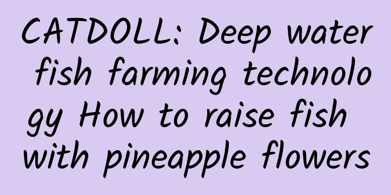 CATDOLL: Deep water fish farming technology How to raise fish with pineapple flowers