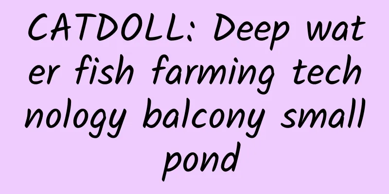 CATDOLL: Deep water fish farming technology balcony small pond