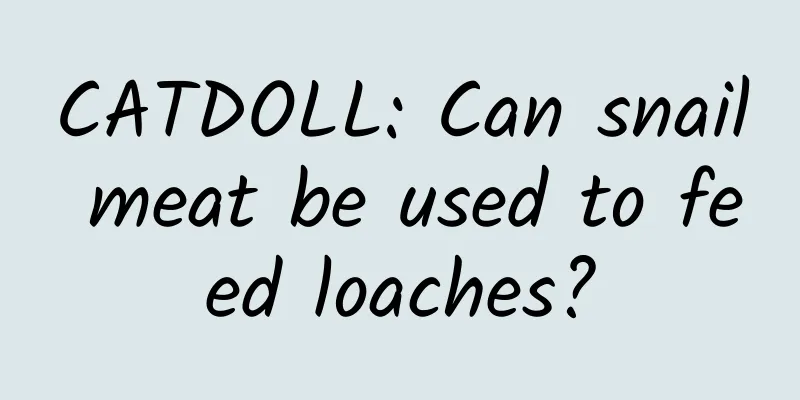 CATDOLL: Can snail meat be used to feed loaches?