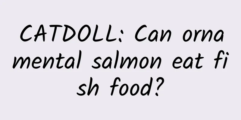 CATDOLL: Can ornamental salmon eat fish food?