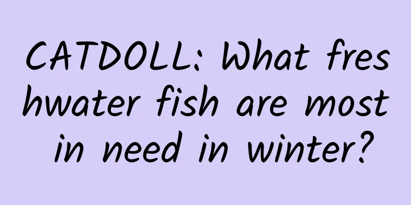 CATDOLL: What freshwater fish are most in need in winter?