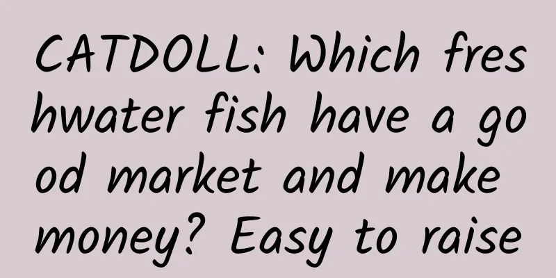 CATDOLL: Which freshwater fish have a good market and make money? Easy to raise