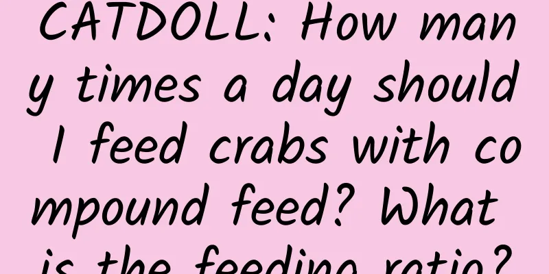 CATDOLL: How many times a day should I feed crabs with compound feed? What is the feeding ratio?