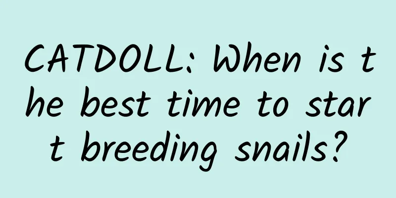 CATDOLL: When is the best time to start breeding snails?