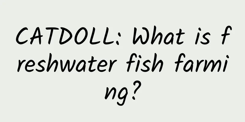 CATDOLL: What is freshwater fish farming?