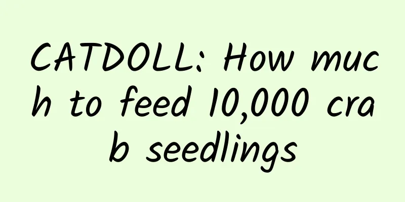 CATDOLL: How much to feed 10,000 crab seedlings