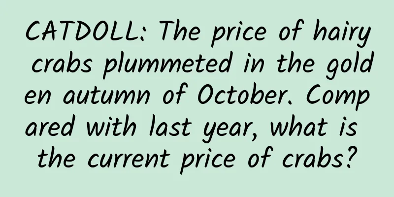 CATDOLL: The price of hairy crabs plummeted in the golden autumn of October. Compared with last year, what is the current price of crabs?