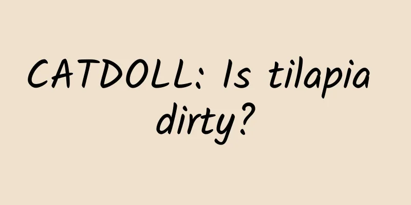 CATDOLL: Is tilapia dirty?