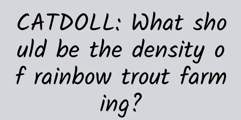 CATDOLL: What should be the density of rainbow trout farming?