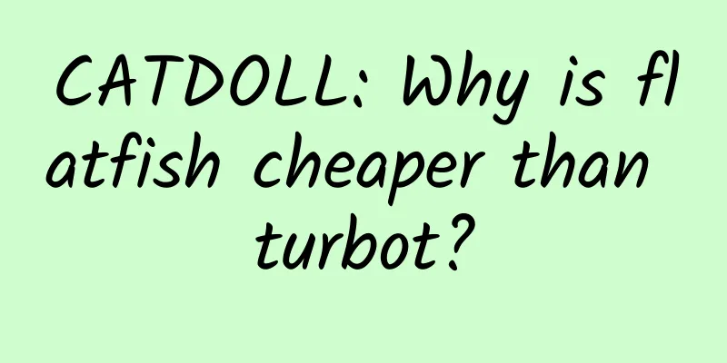 CATDOLL: Why is flatfish cheaper than turbot?