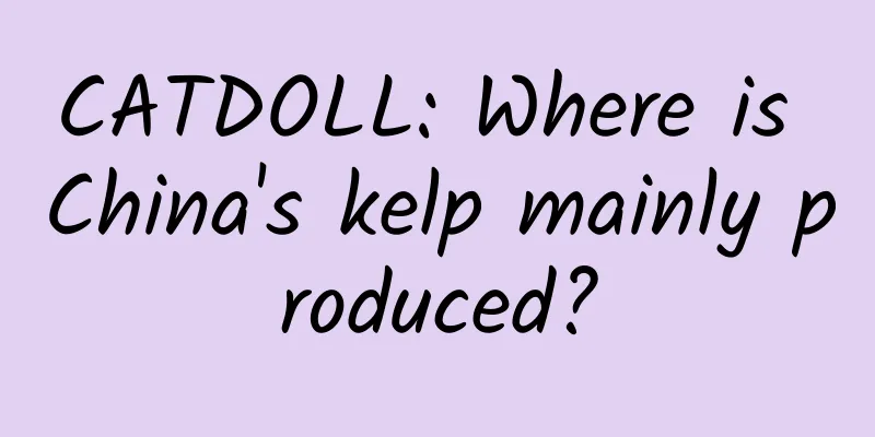 CATDOLL: Where is China's kelp mainly produced?