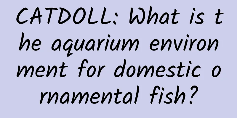 CATDOLL: What is the aquarium environment for domestic ornamental fish?