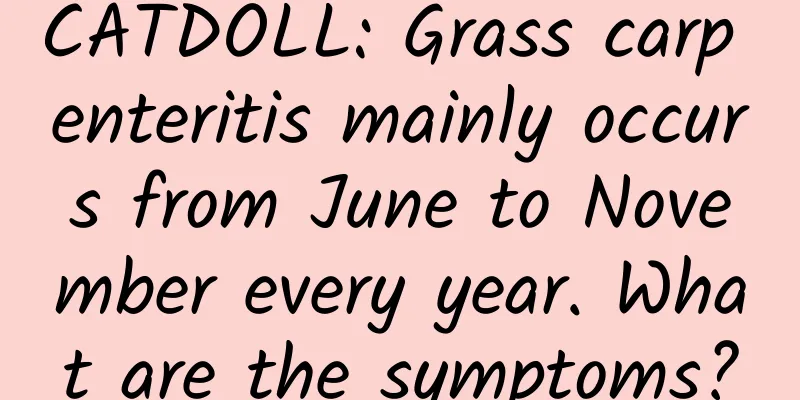 CATDOLL: Grass carp enteritis mainly occurs from June to November every year. What are the symptoms?