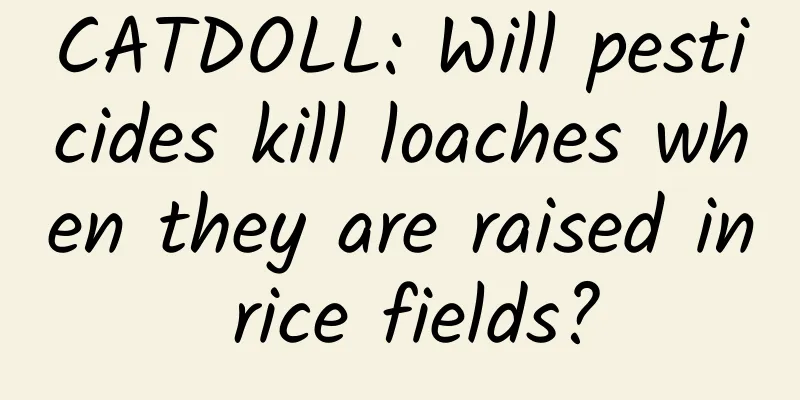 CATDOLL: Will pesticides kill loaches when they are raised in rice fields?