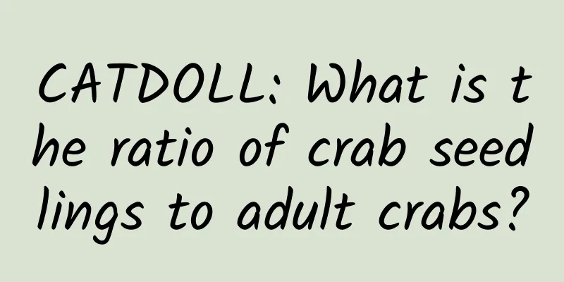 CATDOLL: What is the ratio of crab seedlings to adult crabs?