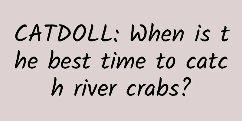 CATDOLL: When is the best time to catch river crabs?