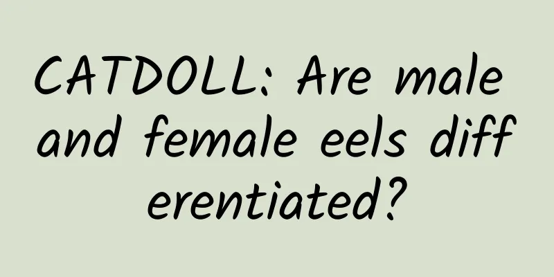 CATDOLL: Are male and female eels differentiated?