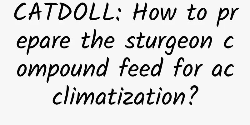 CATDOLL: How to prepare the sturgeon compound feed for acclimatization?
