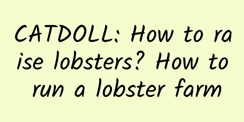 CATDOLL: How to raise lobsters? How to run a lobster farm