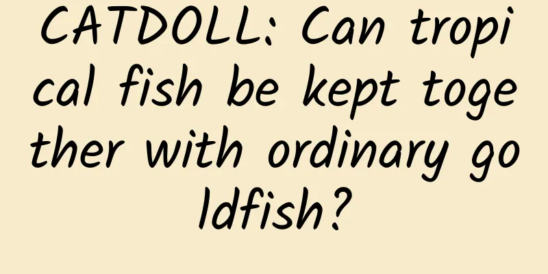 CATDOLL: Can tropical fish be kept together with ordinary goldfish?