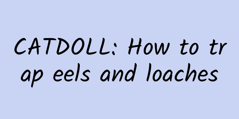 CATDOLL: How to trap eels and loaches