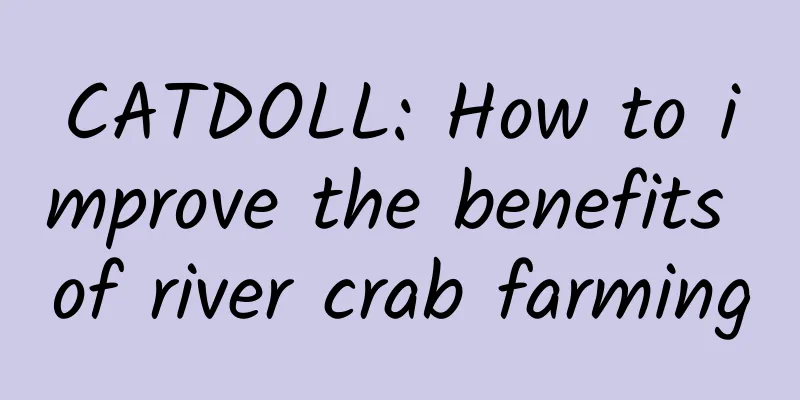 CATDOLL: How to improve the benefits of river crab farming
