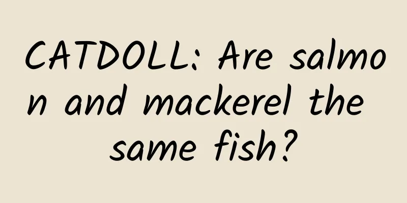 CATDOLL: Are salmon and mackerel the same fish?