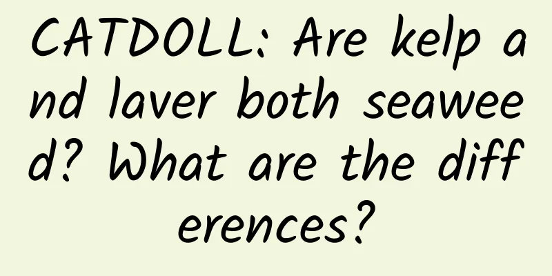 CATDOLL: Are kelp and laver both seaweed? What are the differences?
