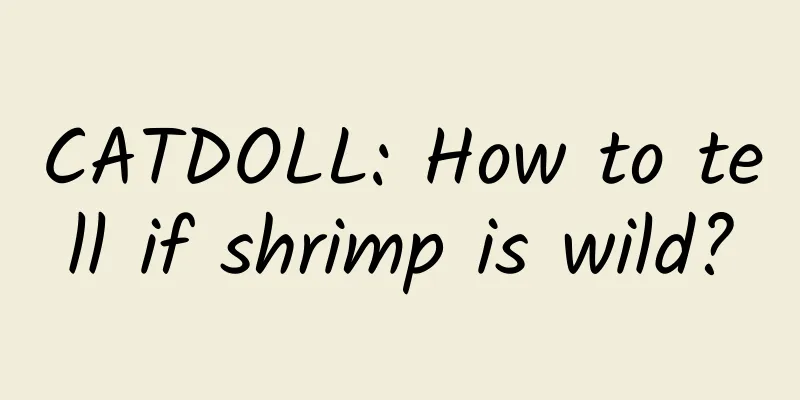 CATDOLL: How to tell if shrimp is wild?