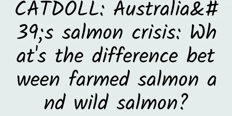 CATDOLL: Australia's salmon crisis: What's the difference between farmed salmon and wild salmon?