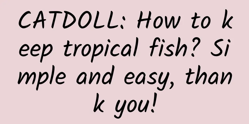 CATDOLL: How to keep tropical fish? Simple and easy, thank you!