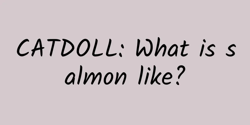CATDOLL: What is salmon like?