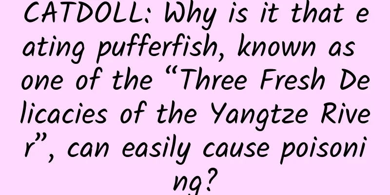 CATDOLL: Why is it that eating pufferfish, known as one of the “Three Fresh Delicacies of the Yangtze River”, can easily cause poisoning?