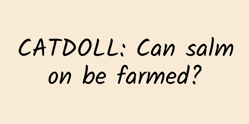 CATDOLL: Can salmon be farmed?