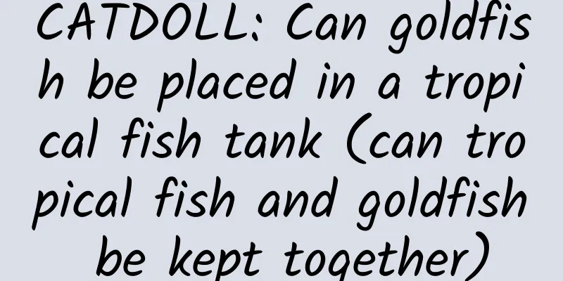 CATDOLL: Can goldfish be placed in a tropical fish tank (can tropical fish and goldfish be kept together)