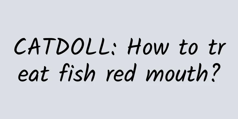 CATDOLL: How to treat fish red mouth?