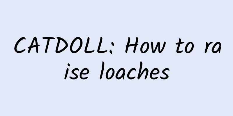 CATDOLL: How to raise loaches