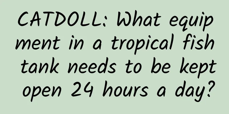 CATDOLL: What equipment in a tropical fish tank needs to be kept open 24 hours a day?