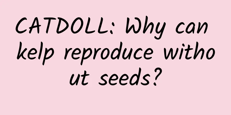 CATDOLL: Why can kelp reproduce without seeds?
