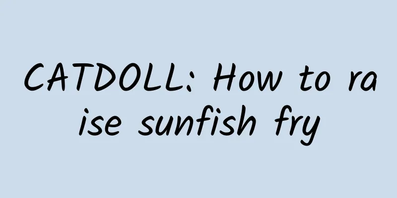 CATDOLL: How to raise sunfish fry