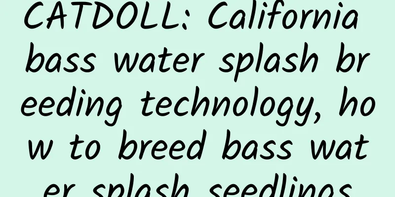 CATDOLL: California bass water splash breeding technology, how to breed bass water splash seedlings