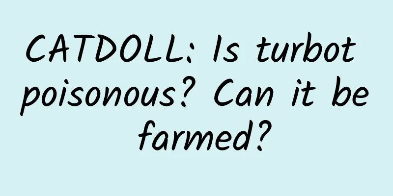 CATDOLL: Is turbot poisonous? Can it be farmed?