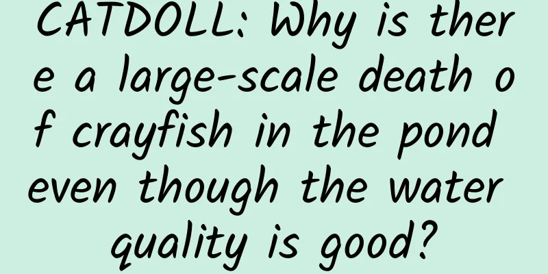 CATDOLL: Why is there a large-scale death of crayfish in the pond even though the water quality is good?