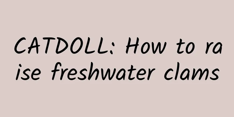 CATDOLL: How to raise freshwater clams