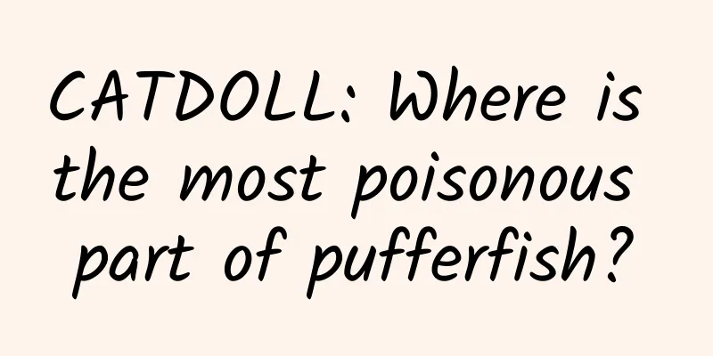 CATDOLL: Where is the most poisonous part of pufferfish?