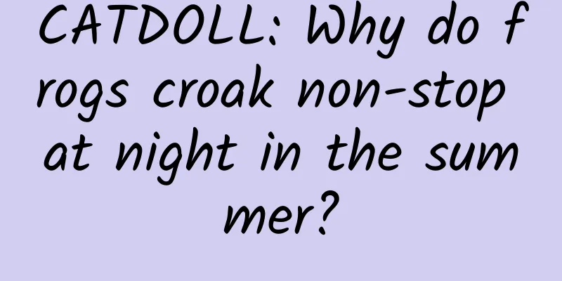 CATDOLL: Why do frogs croak non-stop at night in the summer?
