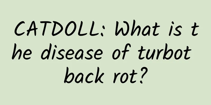 CATDOLL: What is the disease of turbot back rot?