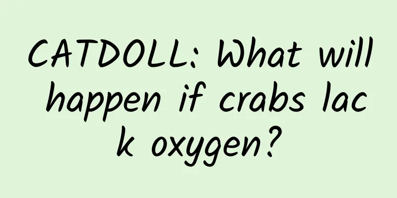 CATDOLL: What will happen if crabs lack oxygen?