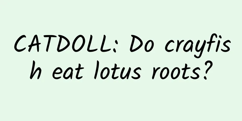 CATDOLL: Do crayfish eat lotus roots?